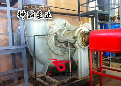 脱硫泵在脱硫脱硝行业中的应用实例